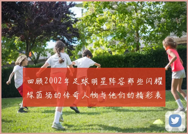 回顾2002年足球明星阵容那些闪耀绿茵场的传奇人物与他们的精彩表现