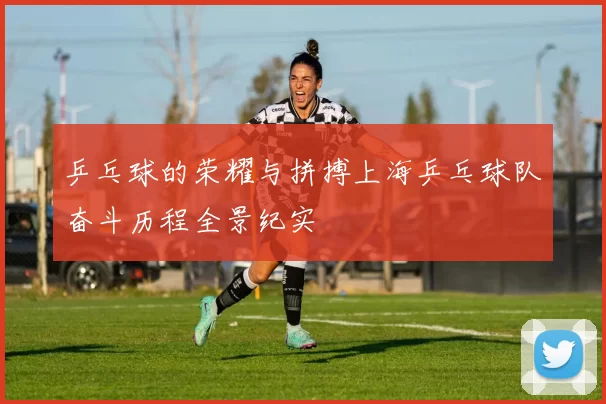 乒乓球的荣耀与拼搏上海乒乓球队奋斗历程全景纪实