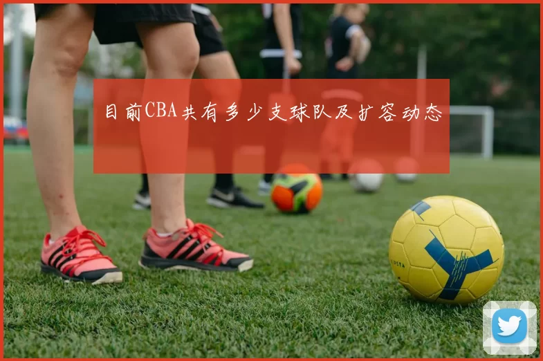 目前CBA共有多少支球队及扩容动态