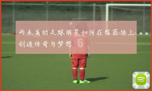 两米高的足球明星如何在绿茵场上创造传奇与梦想