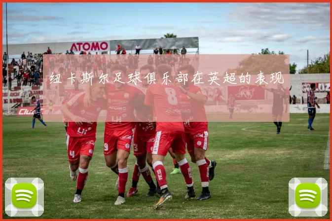 纽卡斯尔足球俱乐部在英超的表现