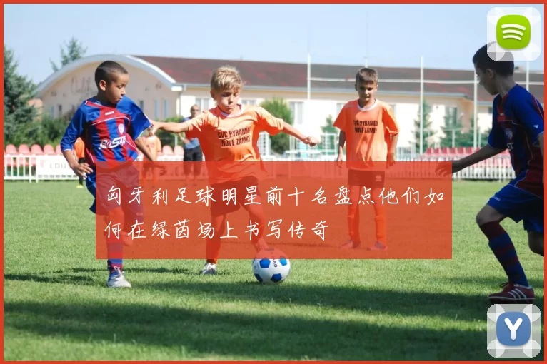 匈牙利足球明星前十名盘点他们如何在绿茵场上书写传奇
