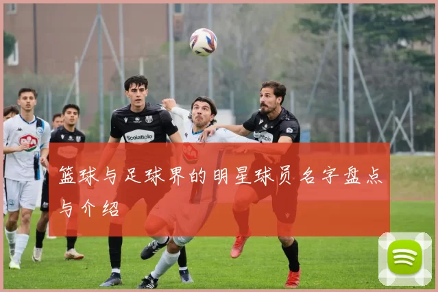 篮球与足球界的明星球员名字盘点与介绍