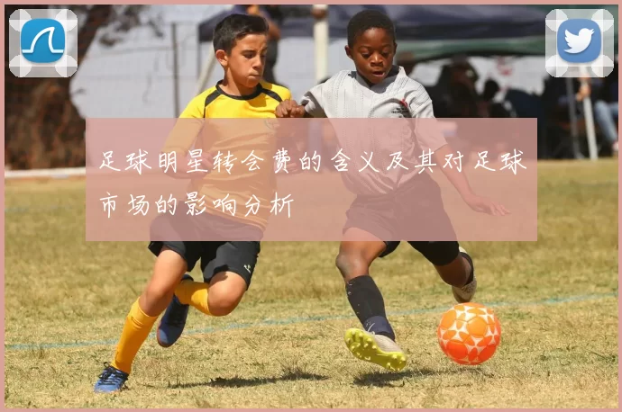 足球明星转会费的含义及其对足球市场的影响分析