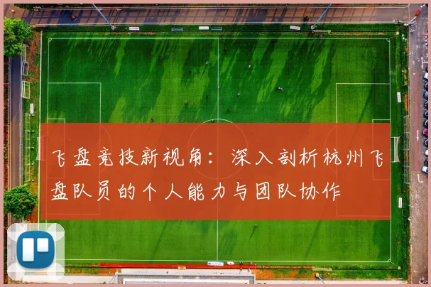 飞盘竞技新视角：深入剖析杭州飞盘队员的个人能力与团队协作
