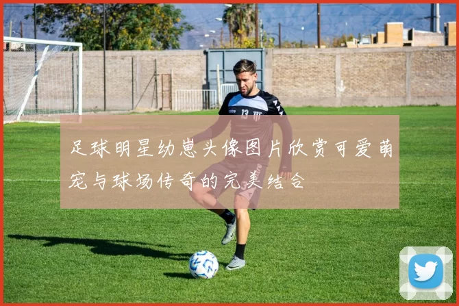 足球明星幼崽头像图片欣赏可爱萌宠与球场传奇的完美结合