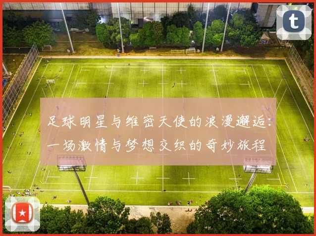 足球明星与维密天使的浪漫邂逅：一场激情与梦想交织的奇妙旅程