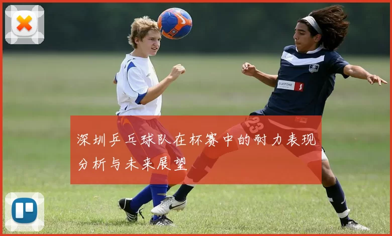 深圳乒乓球队在杯赛中的耐力表现分析与未来展望