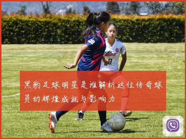 黑豹足球明星是谁解析这位传奇球员的辉煌成就与影响力