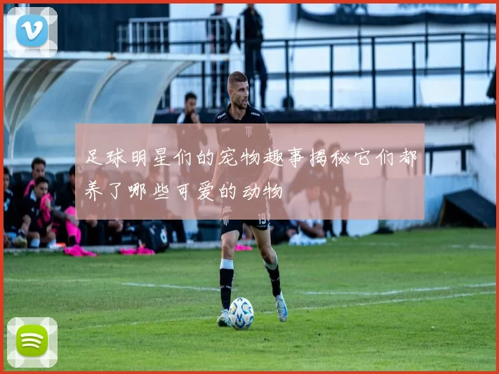 足球明星们的宠物趣事揭秘它们都养了哪些可爱的动物