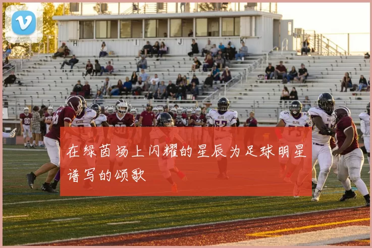 在绿茵场上闪耀的星辰为足球明星谱写的颂歌
