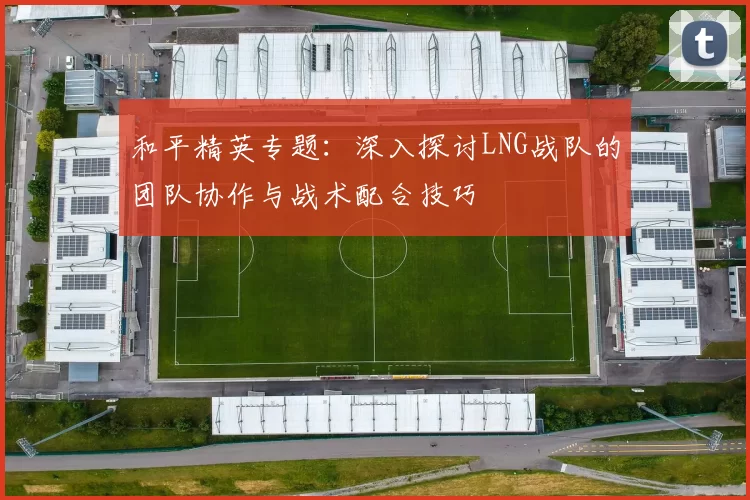 和平精英专题：深入探讨LNG战队的团队协作与战术配合技巧