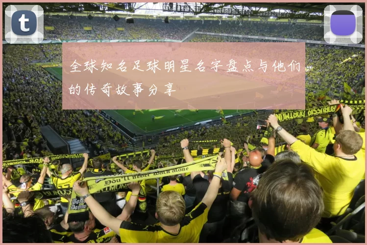 全球知名足球明星名字盘点与他们的传奇故事分享