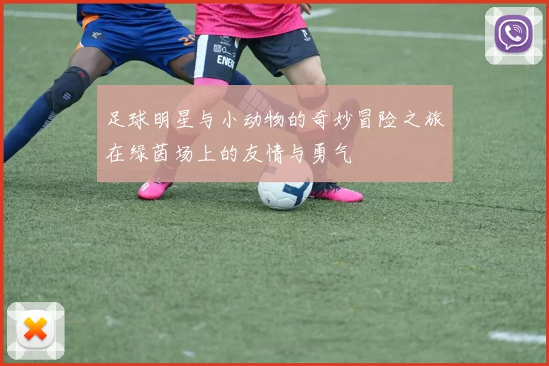 足球明星与小动物的奇妙冒险之旅在绿茵场上的友情与勇气