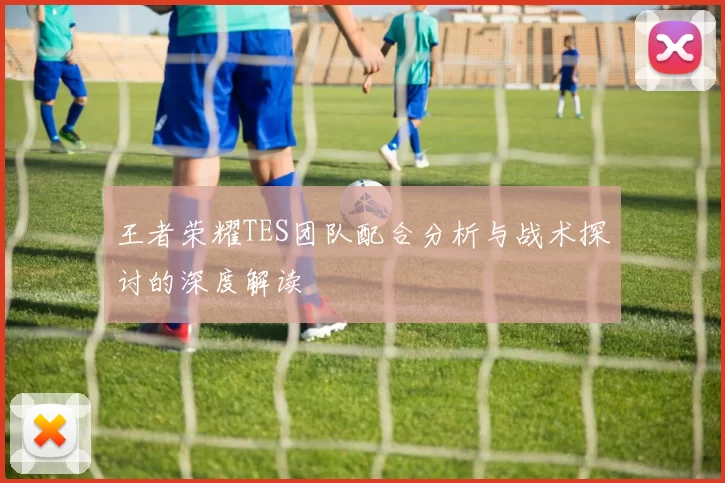 王者荣耀TES团队配合分析与战术探讨的深度解读
