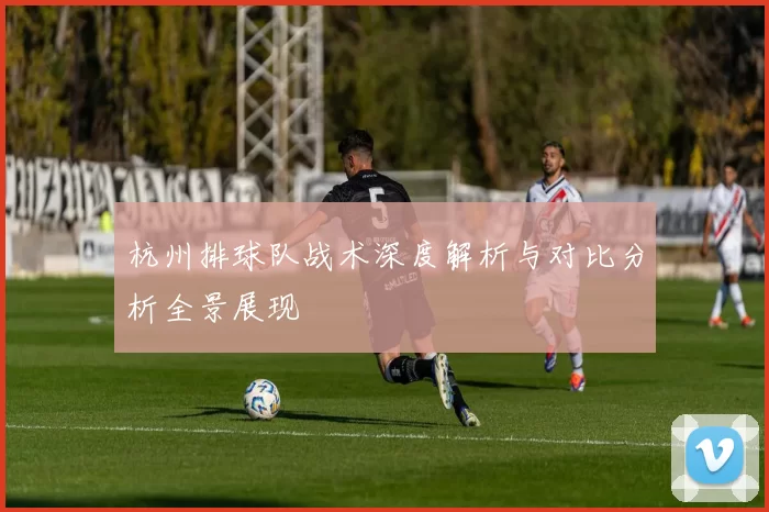 杭州排球队战术深度解析与对比分析全景展现