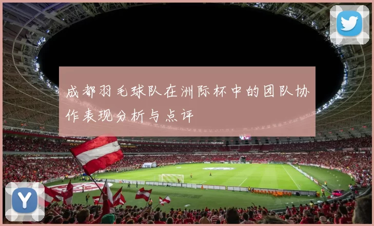 成都羽毛球队在洲际杯中的团队协作表现分析与点评