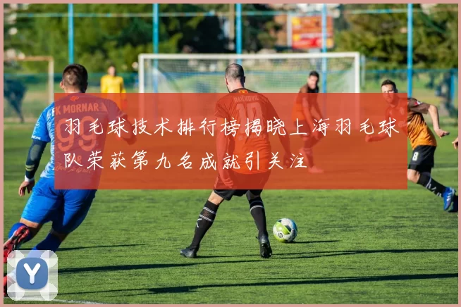 羽毛球技术排行榜揭晓上海羽毛球队荣获第九名成就引关注