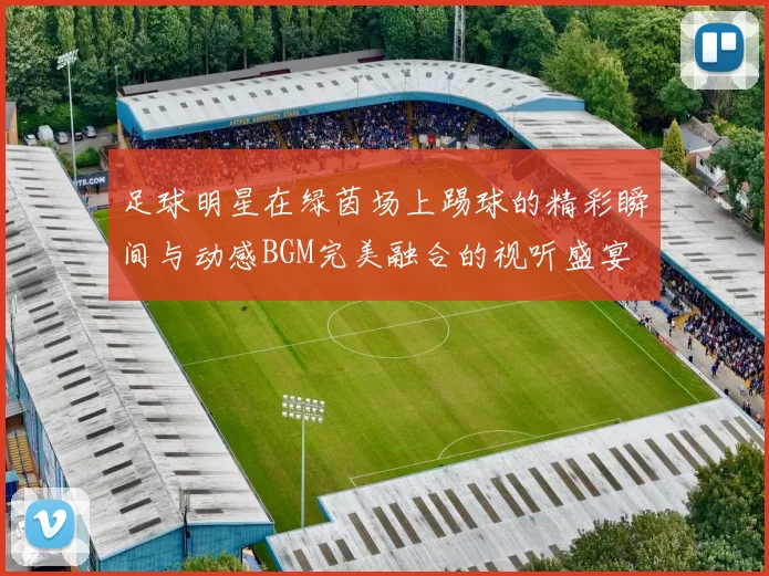 足球明星在绿茵场上踢球的精彩瞬间与动感BGM完美融合的视听盛宴
