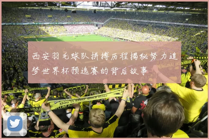 西安羽毛球队拼搏历程揭秘努力追梦世界杯预选赛的背后故事