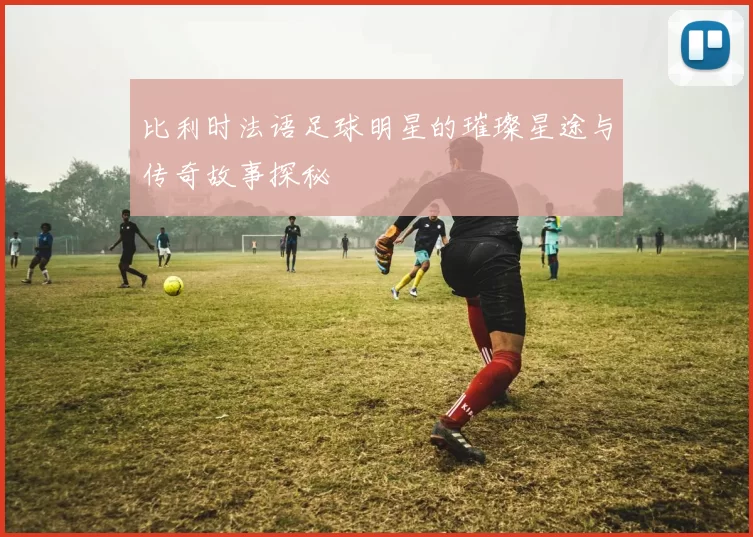 比利时法语足球明星的璀璨星途与传奇故事探秘