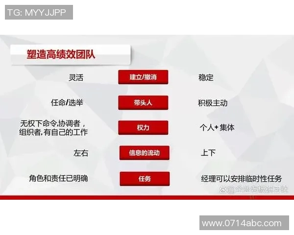 以训练为核心构建高效学习体系提升个人能力与团队协作的策略与方法