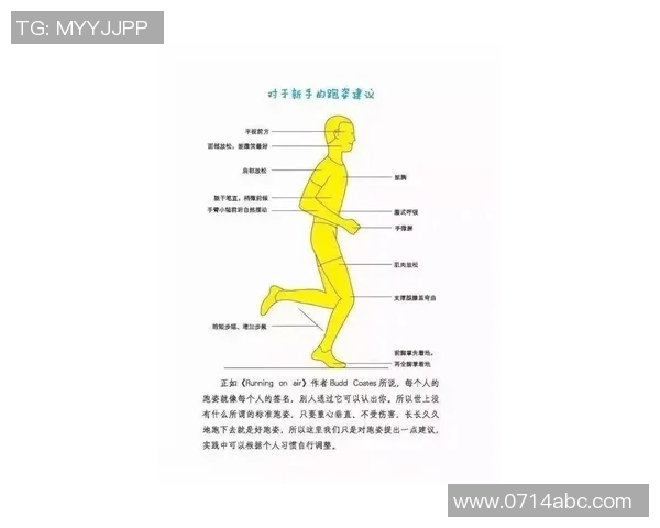 运动康复新模式探索：提升运动表现与预防伤害的有效途径