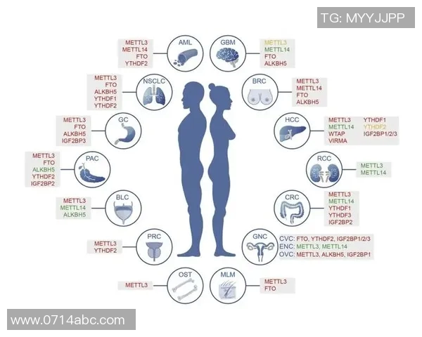 竞技体育在现代社会中的意义与价值探讨：提升个人素质与推动社会进步的双重作用